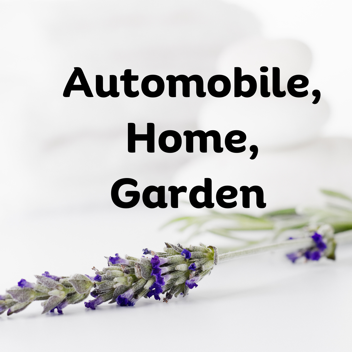 Mind Escape Vibe| Aromatherapy| Room Fresheners| Deodorizers| Hanging Car Scents| Natural Insecticide