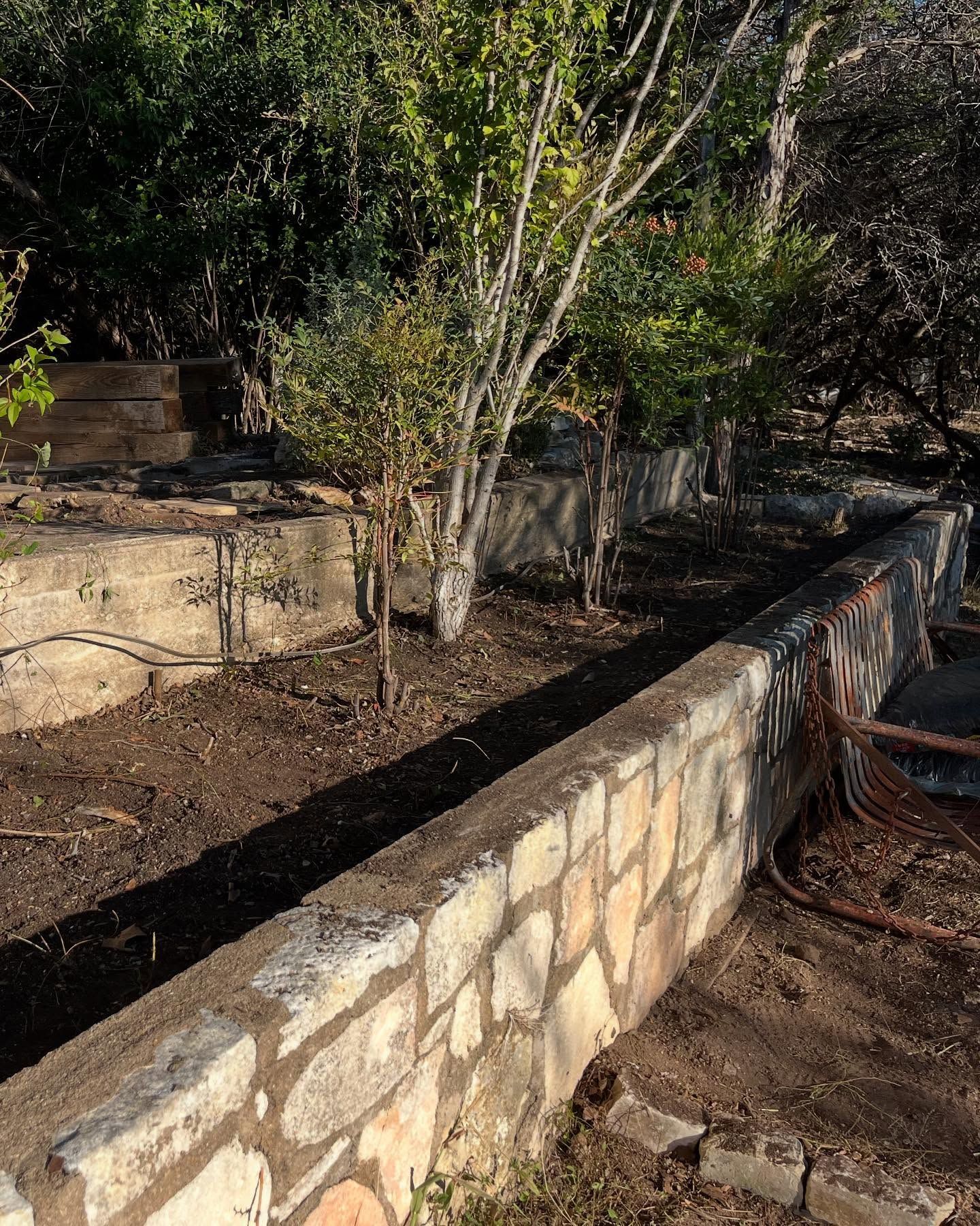 Stone retaining wall with a row of young trees and fresh soil. Sunny outdoor setting.
