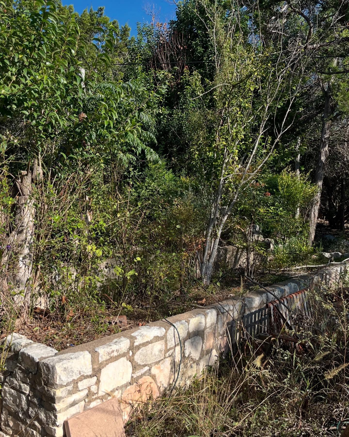 Stone wall planter filled with overgrown greenery under a sunny sky.
