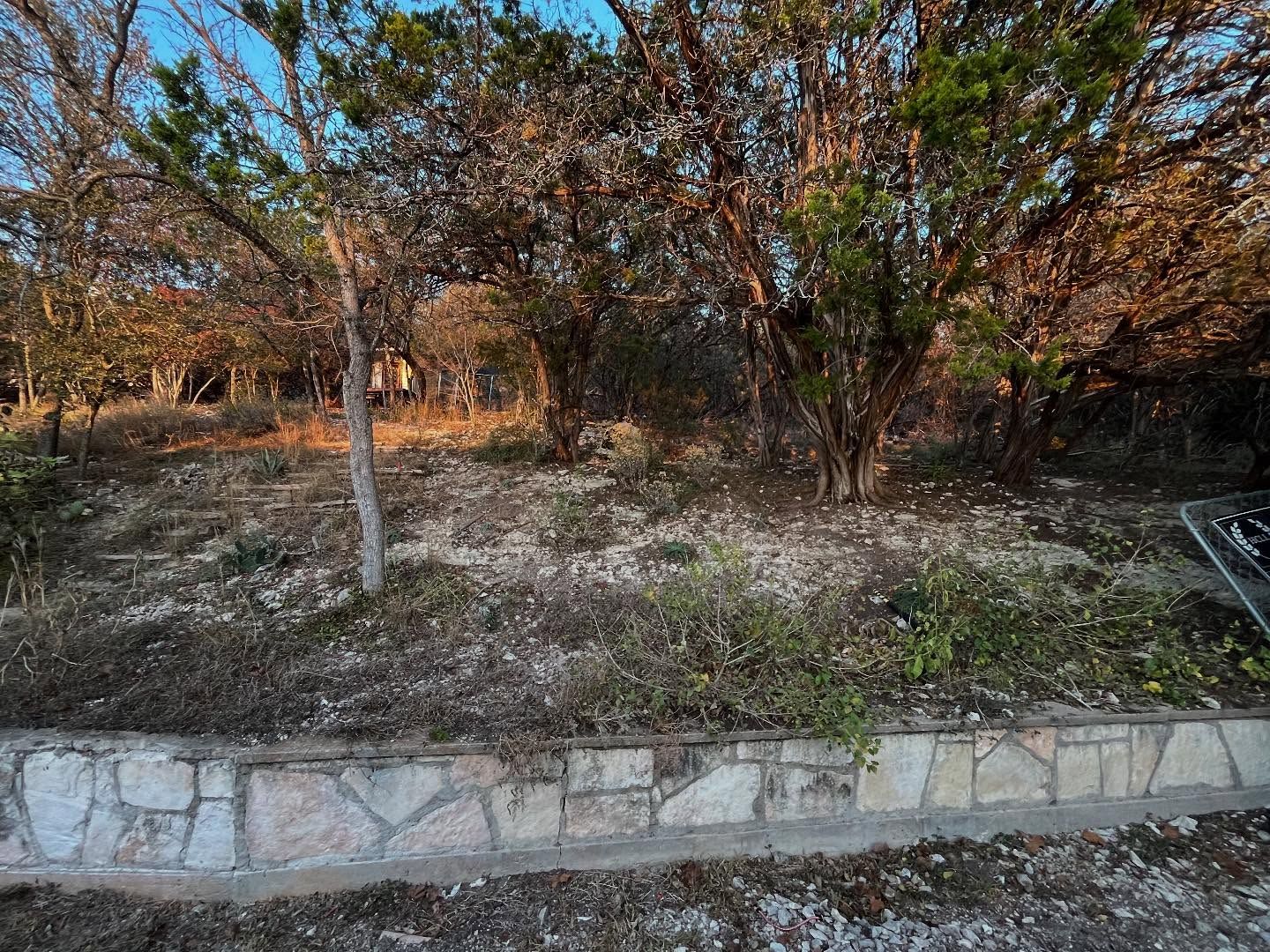 Grassy hillside with trees, bordered by a stone retaining wall. Afternoon light.
