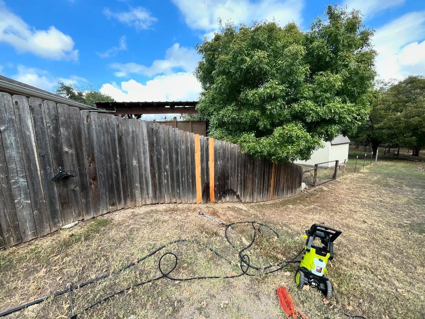 Pressure washer and hose next to a weathered wooden fence and a leafy green tree under a blue sky.