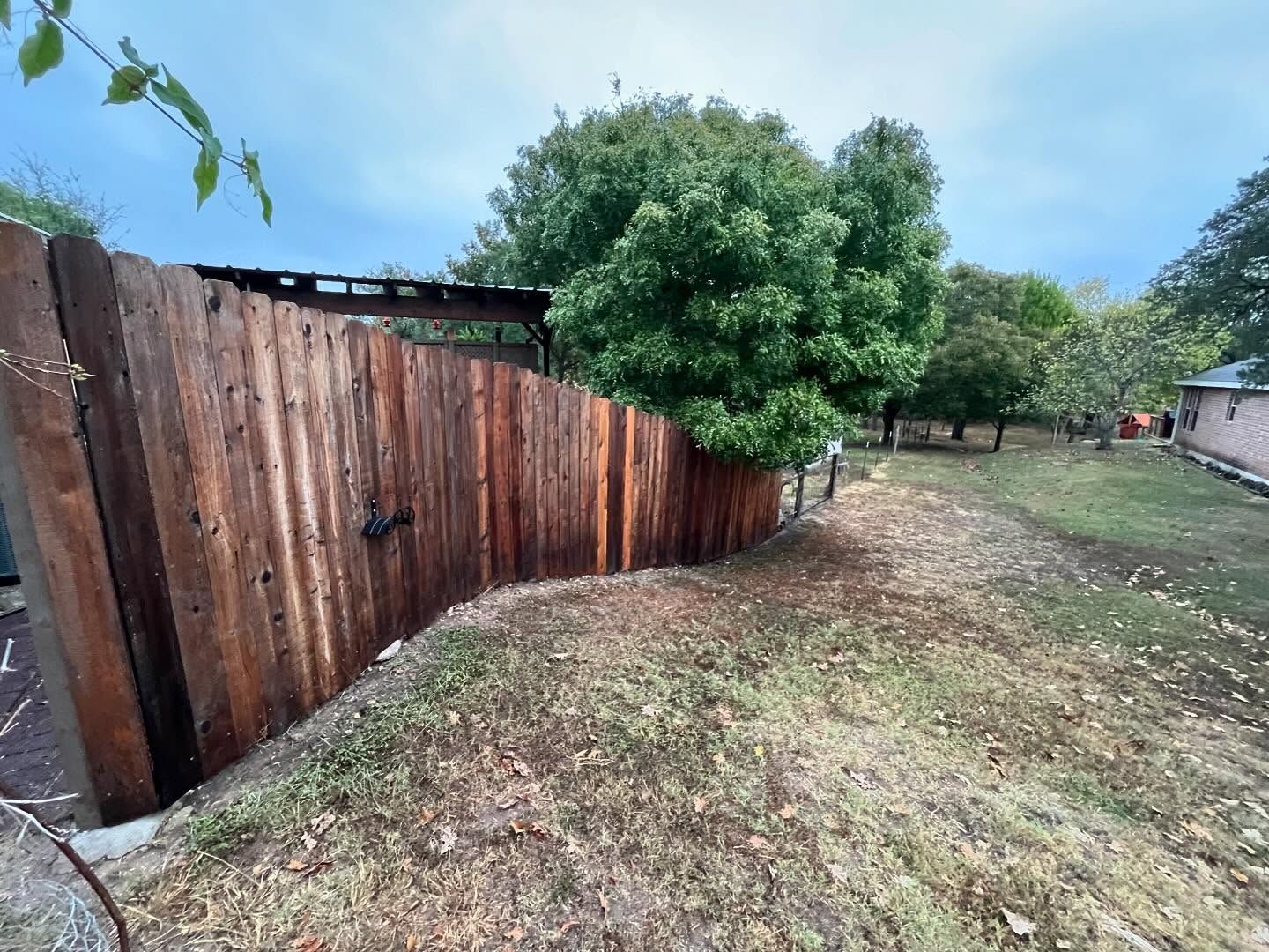 Wooden fence curving along a grassy yard, with trees in the background under an overcast sky.