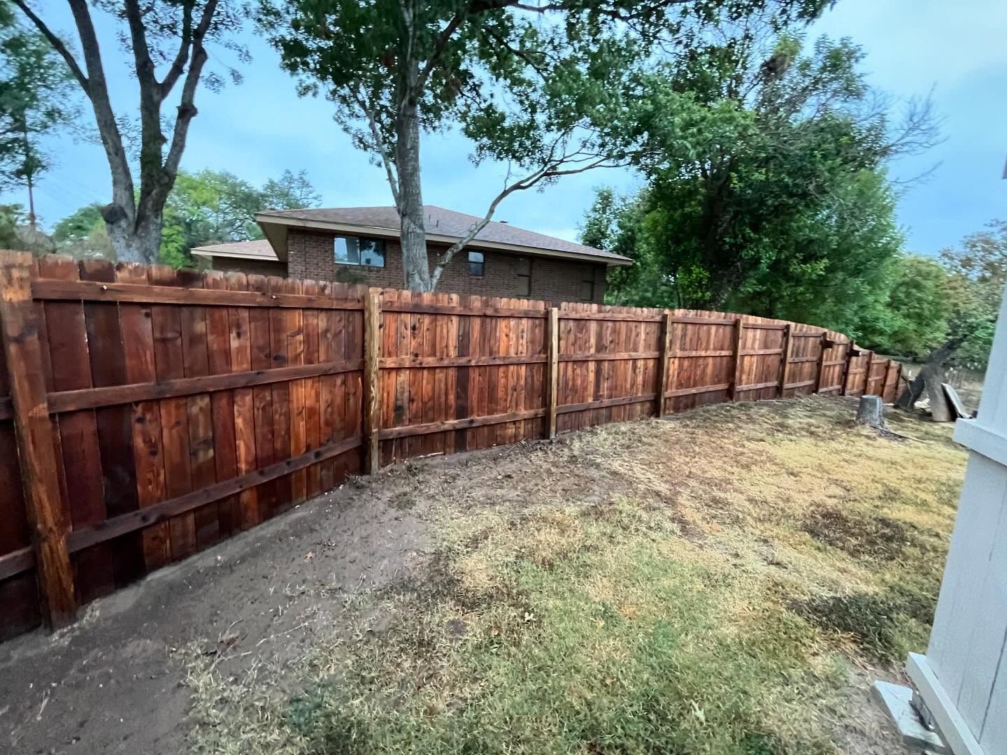 Newly stained wooden fence in a yard, with a brown house and trees in the background.