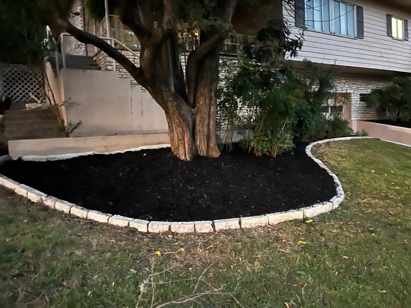 Tree with dark mulch bed, bordered by light-colored stones, in front of a building with white siding.