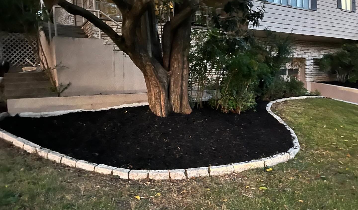 Black mulch bed around a tree, bordered by light-colored stones, beside a building and grass.