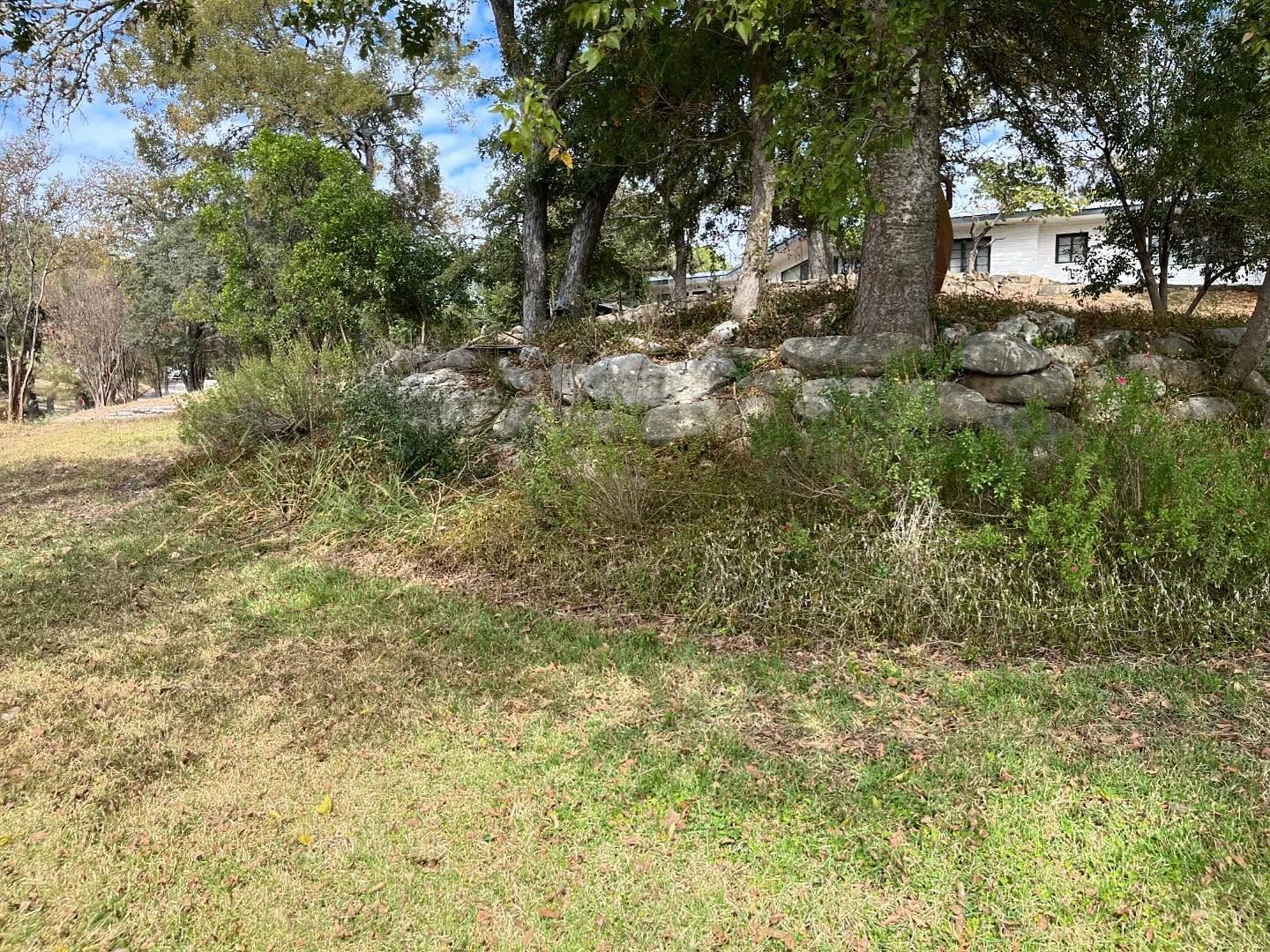 Grassy foreground with a stone border, trees and shrubs in the background, a building is visible.