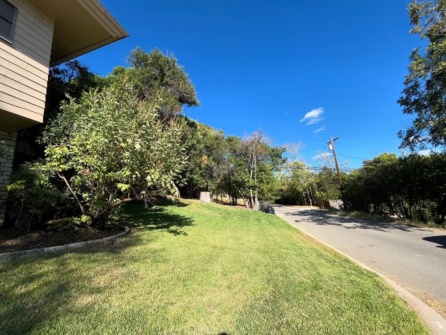 Lush green lawn next to a driveway, bordered by trees and a building against a clear blue sky.