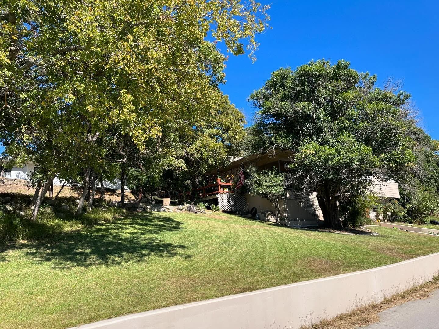 House nestled among trees on a grassy hill; blue sky overhead.