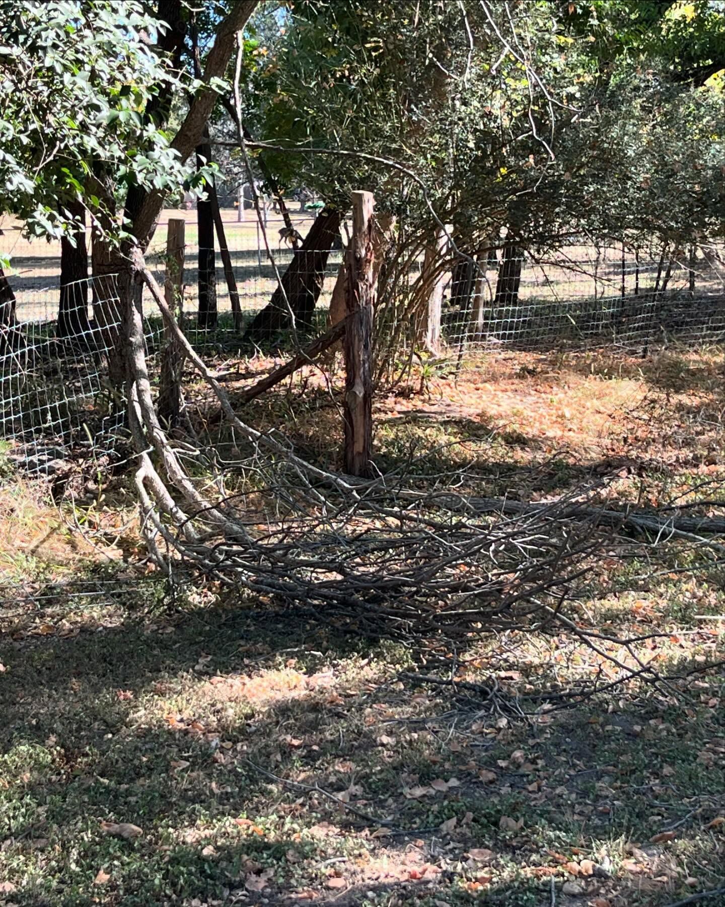 Fence with a broken wooden gate in a field; trees in the background.