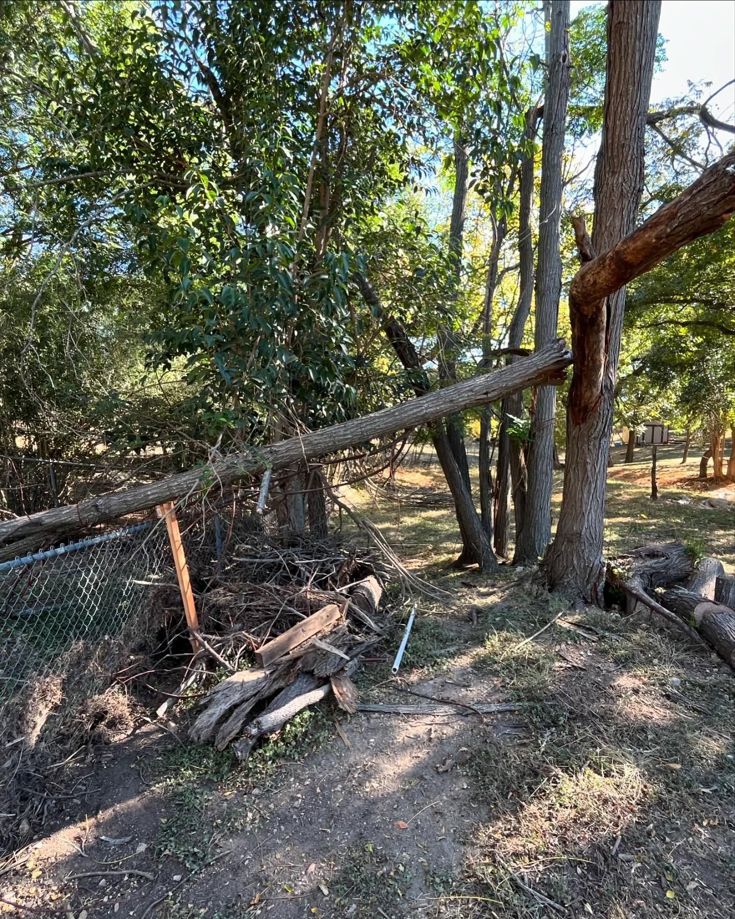 Fallen tree branch resting on a fence, blocking the path in a wooded area. Wood and debris lie nearby.