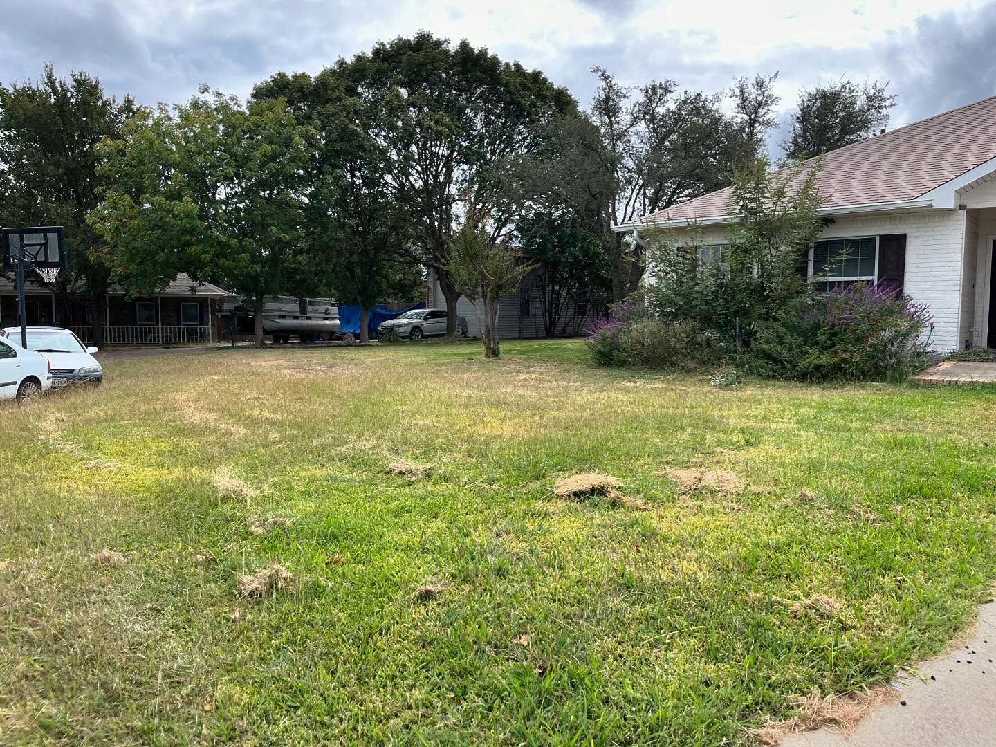 Overgrown lawn in front of a house, with parked vehicles and overcast sky.