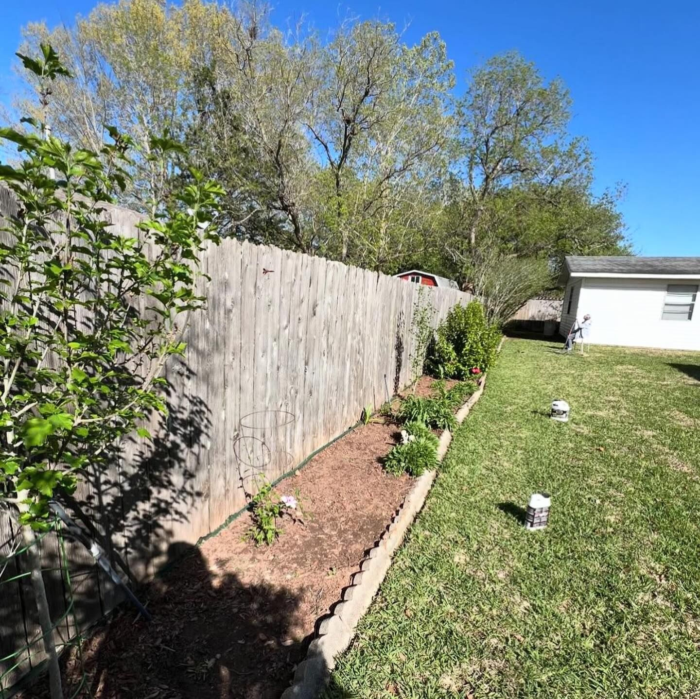 Backyard with wooden fence, mulch flowerbed, and green grass. A few plants and trees are visible.