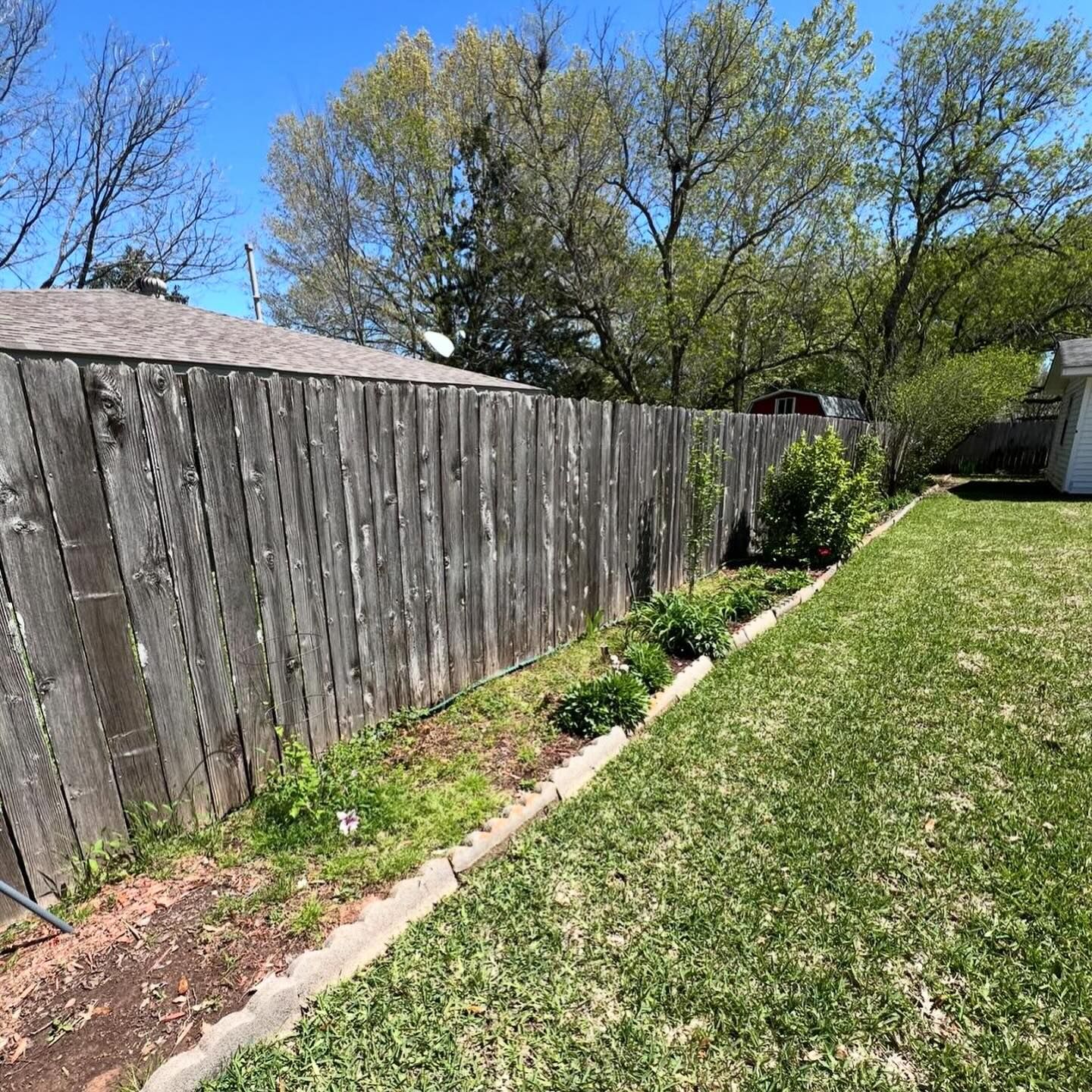 Wooden fence bordering a yard with green grass, small plants, and a bright blue sky.