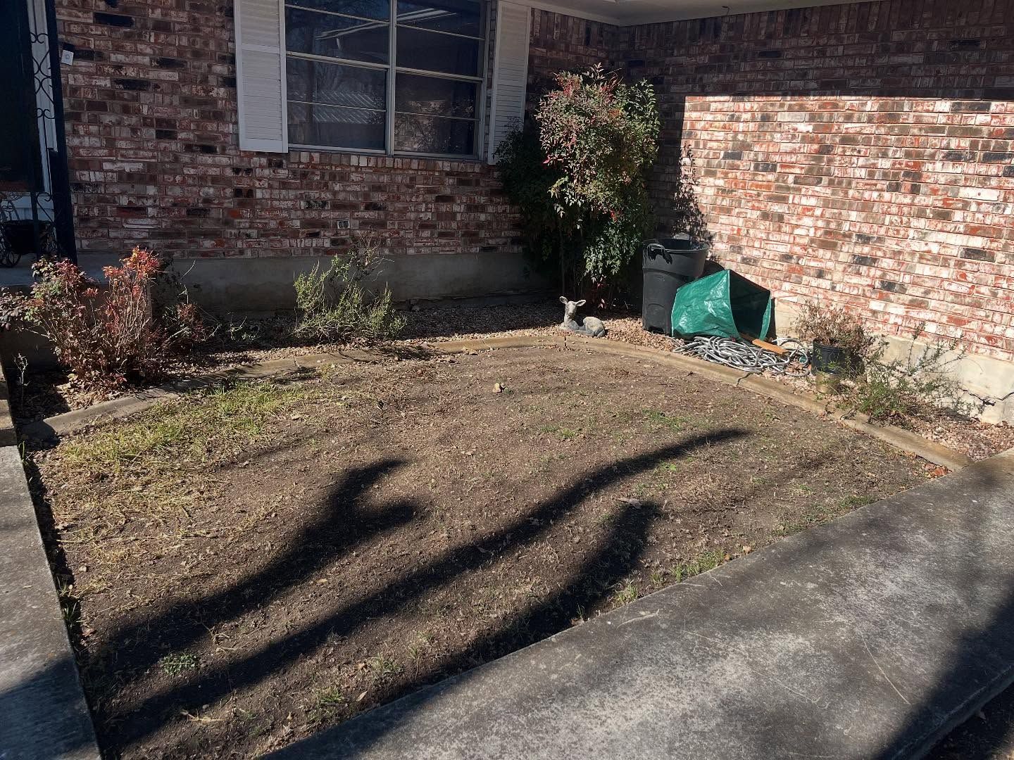 Brown yard in front of brick building with small bushes and a window.