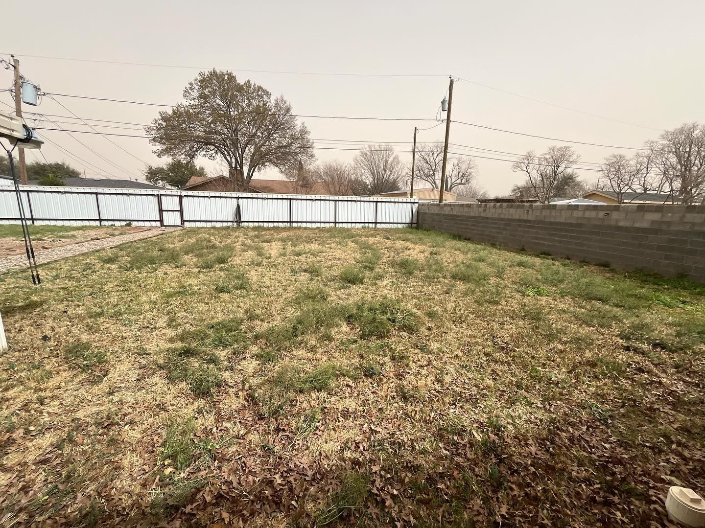 Grassy backyard with a white fence, brown weeds, and a cloudy sky.