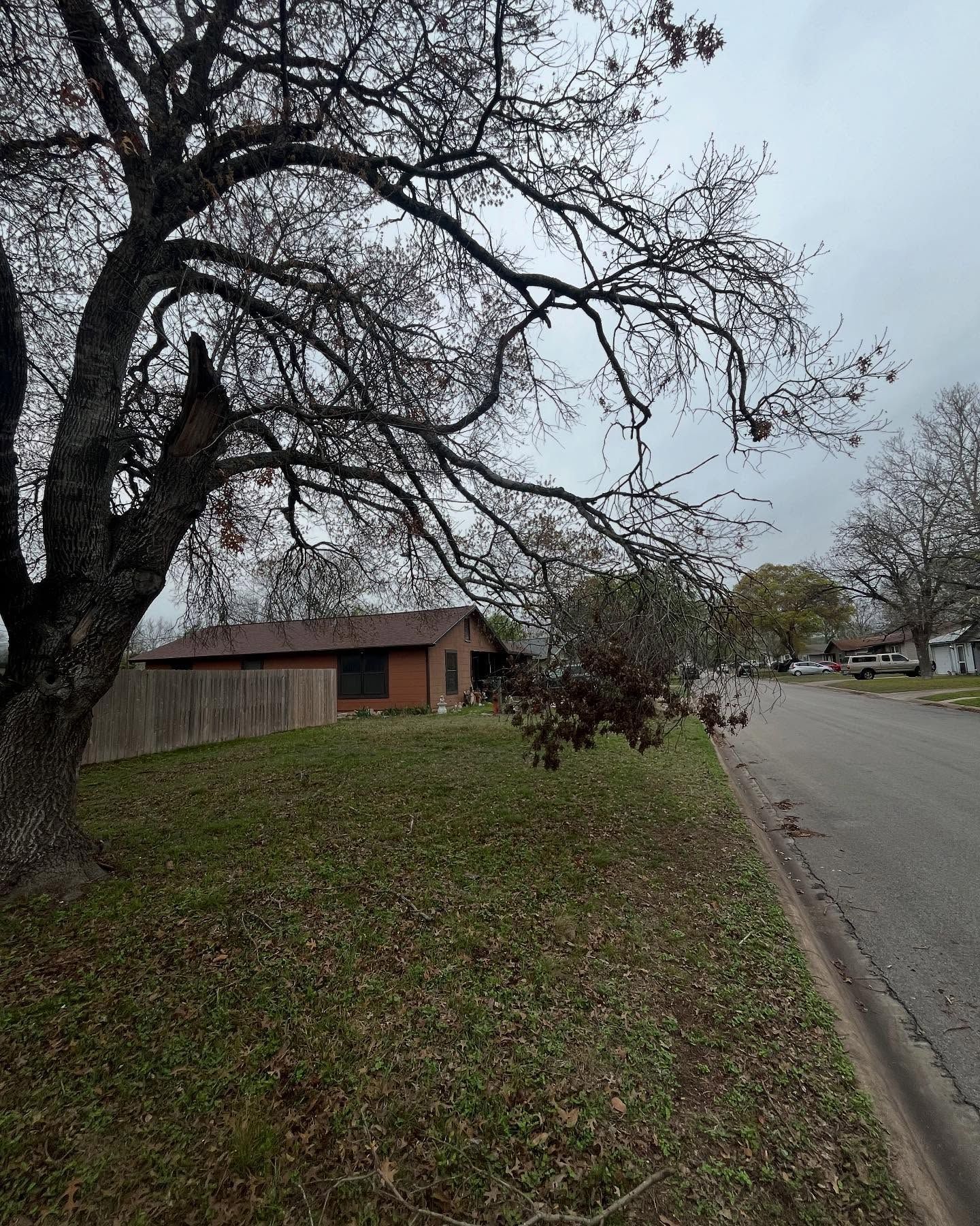 A house sits near a street with a large tree in the foreground under a cloudy sky.