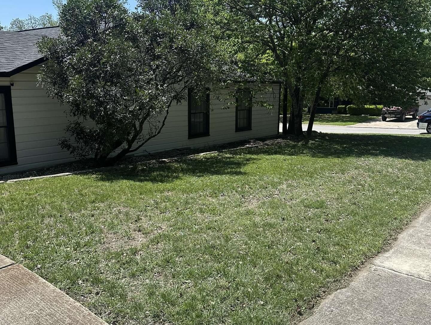 Lawn in front of a light-colored building with trees. The grass is partly green, partly brown. A sidewalk is in the foreground.