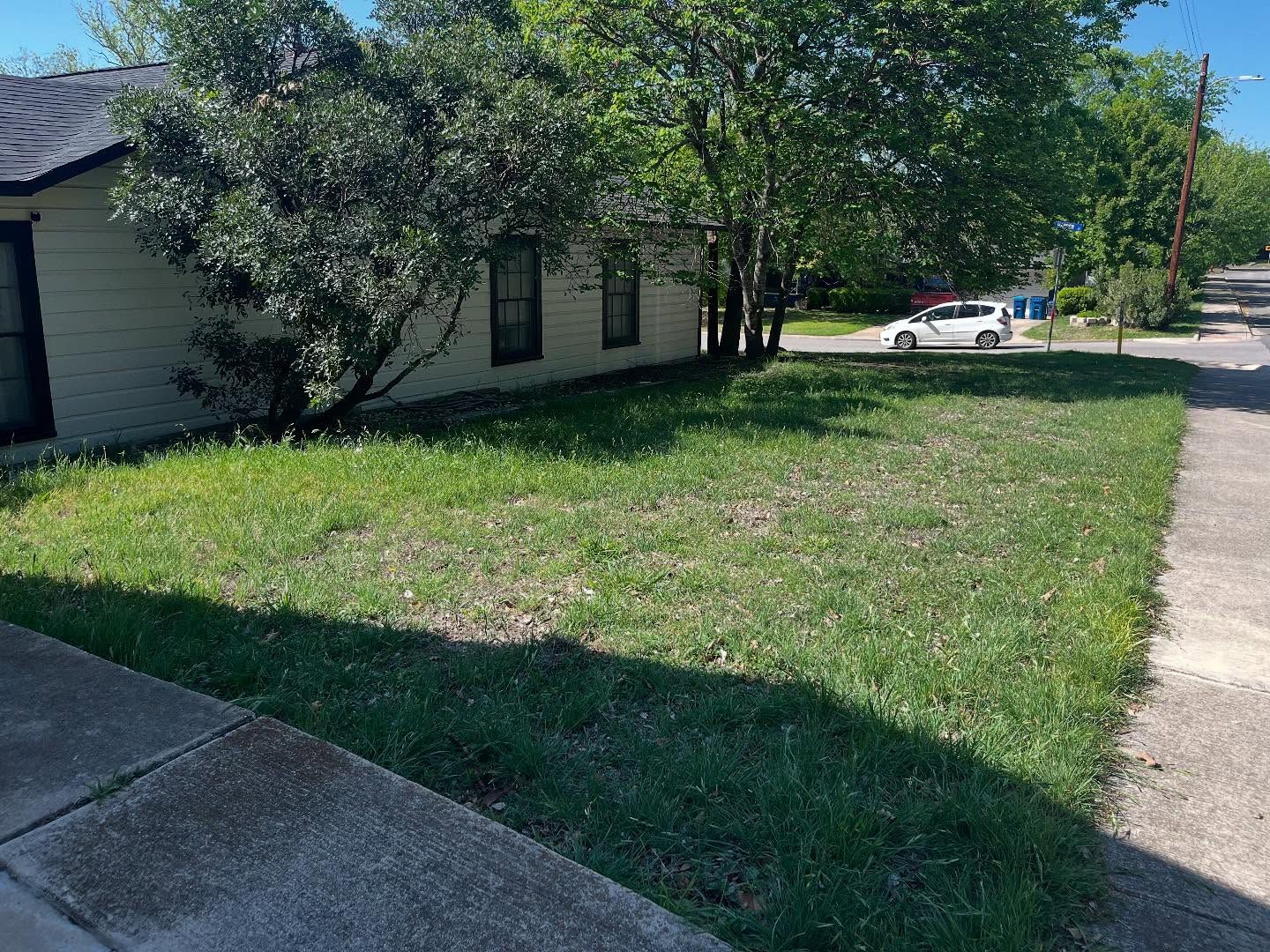 A grassy front yard next to a sidewalk and a building with several trees and a car in the distance.