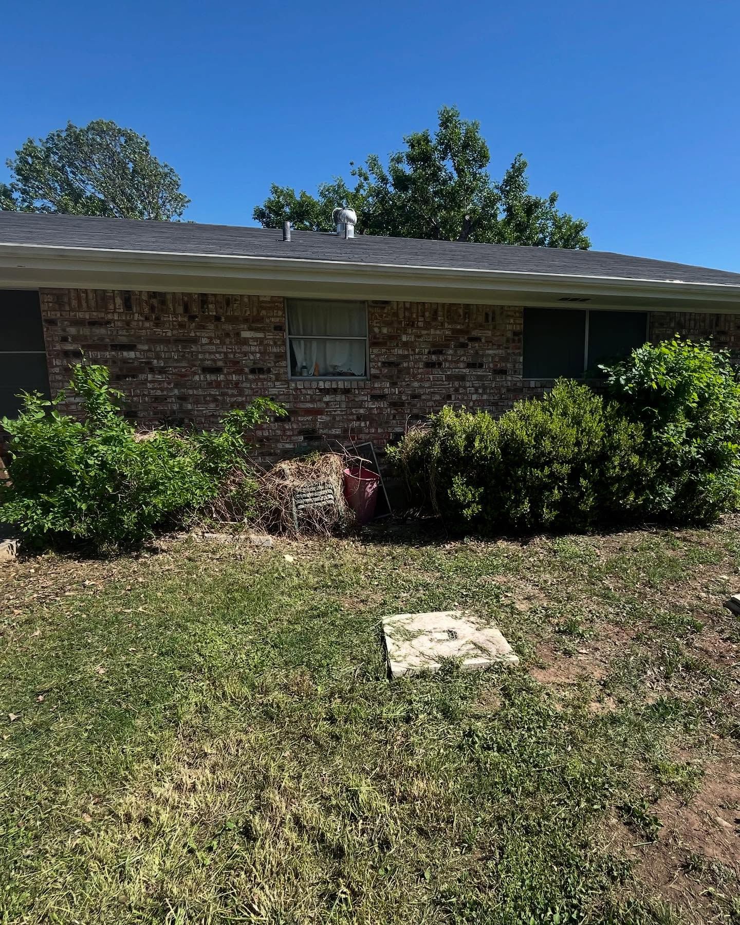 Brick house with overgrown bushes and green lawn under a bright blue sky.