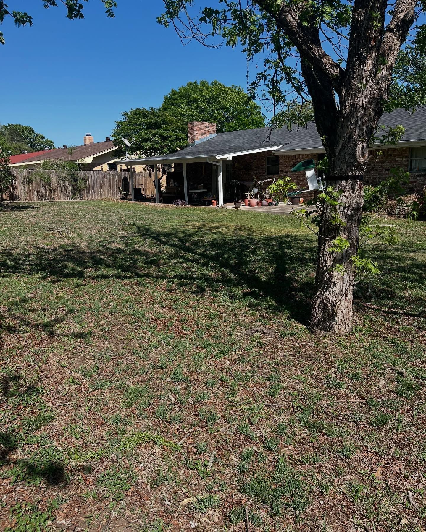 Backyard view: a house with a covered patio, tree in the foreground, and patchy green grass under a clear blue sky.