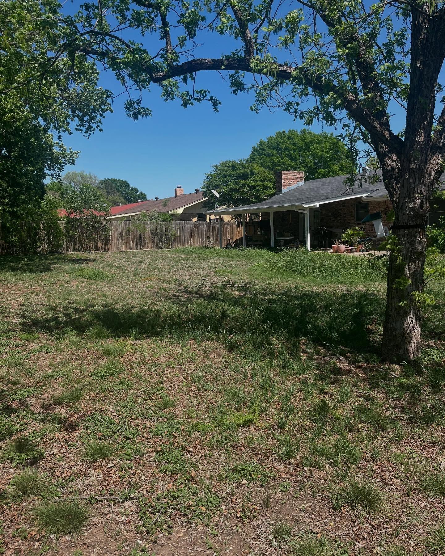 Grassy backyard with a tree in the foreground and houses with fences in the background under a blue sky.