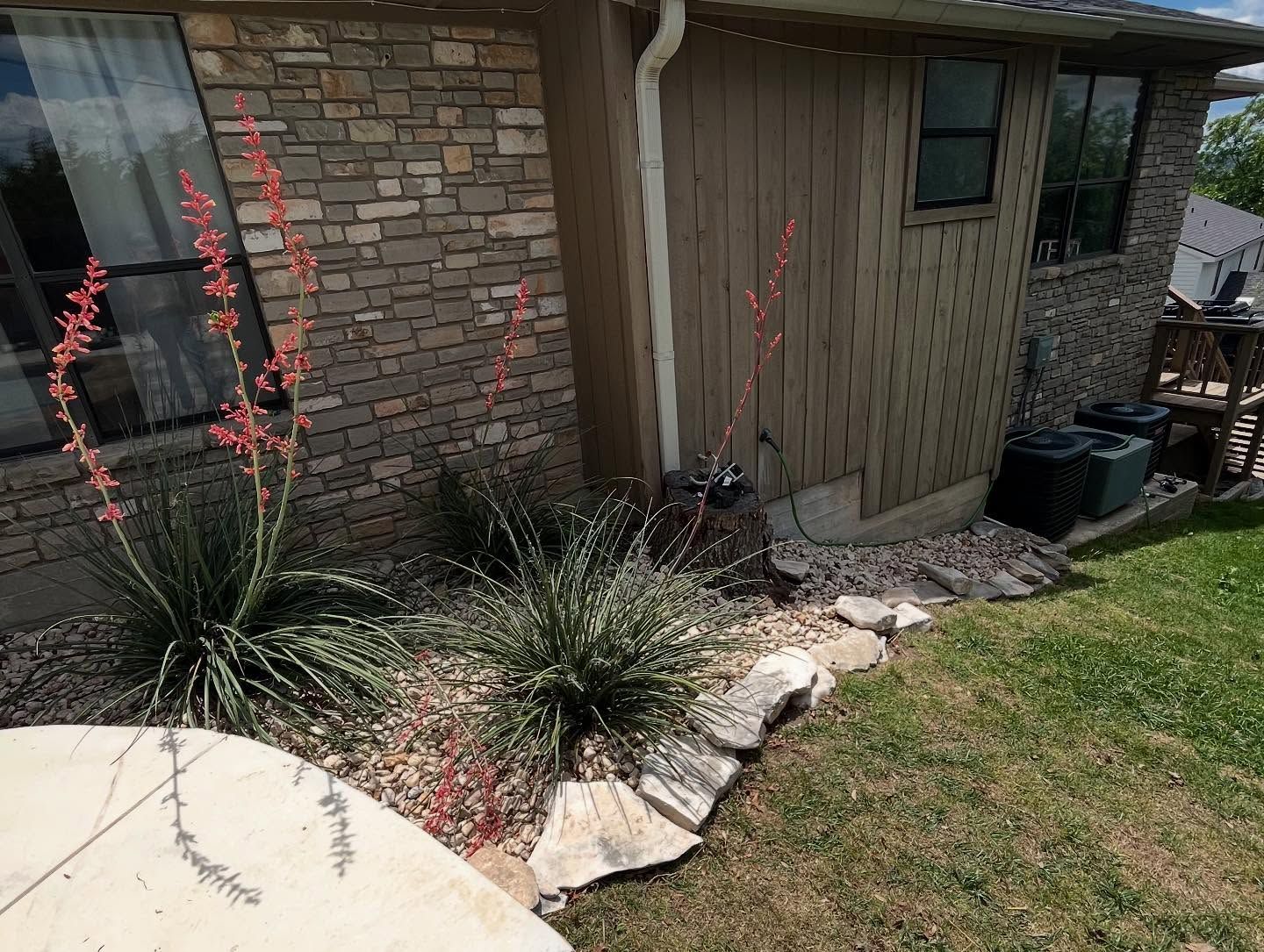 A house exterior with blooming red yucca plants, stone wall, and green lawn.