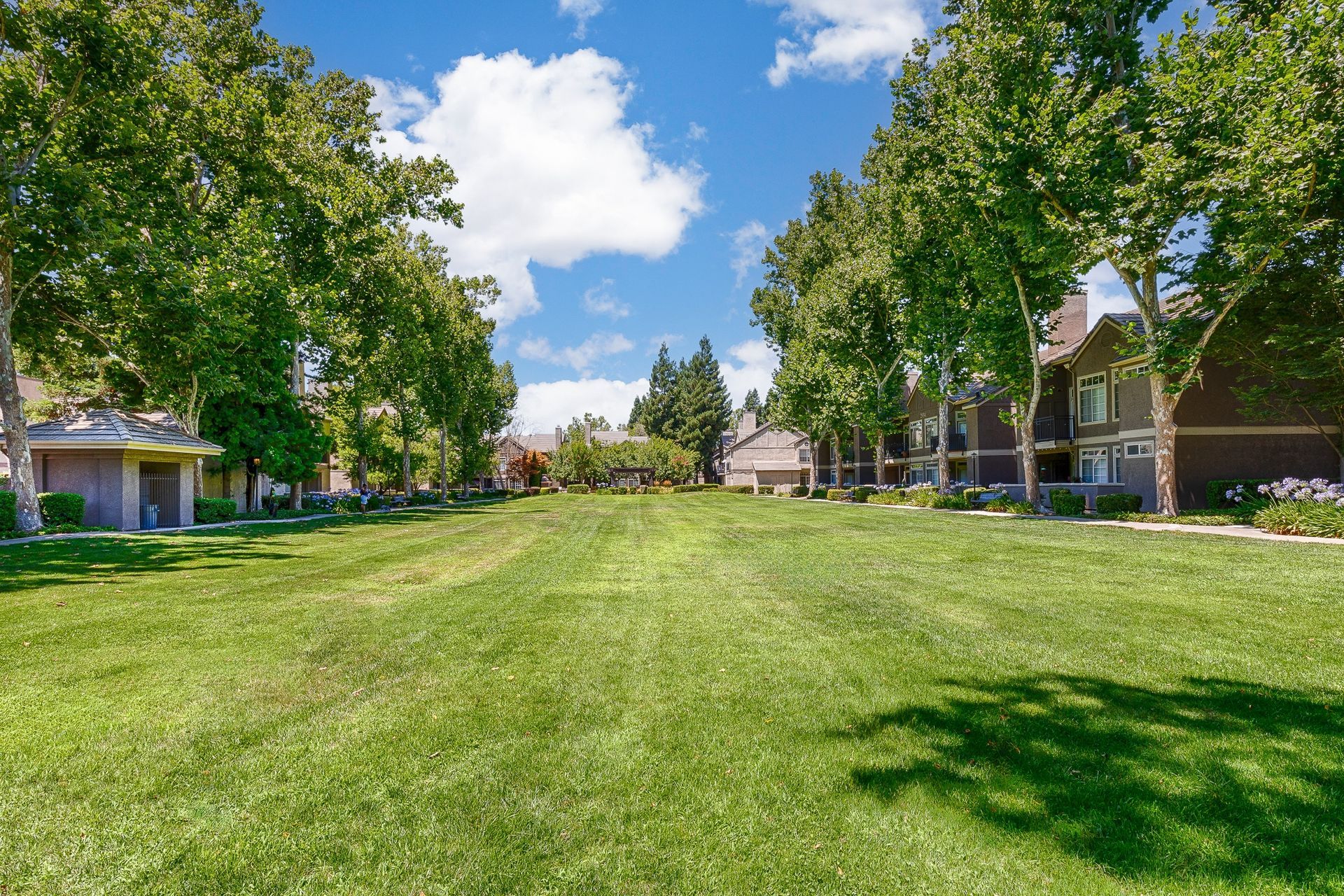 Open grassy courtyard between apartment buildings with mature trees.