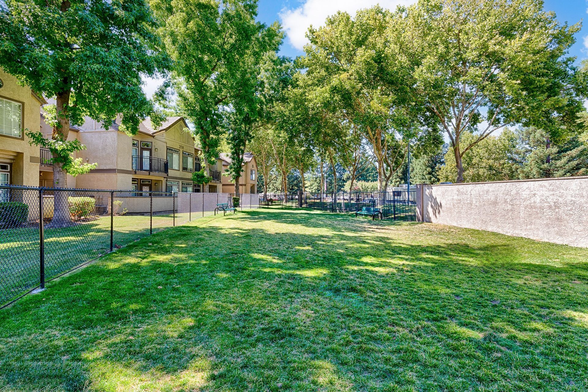 Outdoor community courtyard with green lawn, trees, and a fence along apartment buildings.