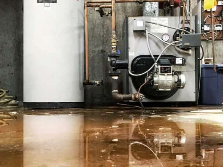 A woman is kneeling on the floor in a kitchen looking at mold on the wall.