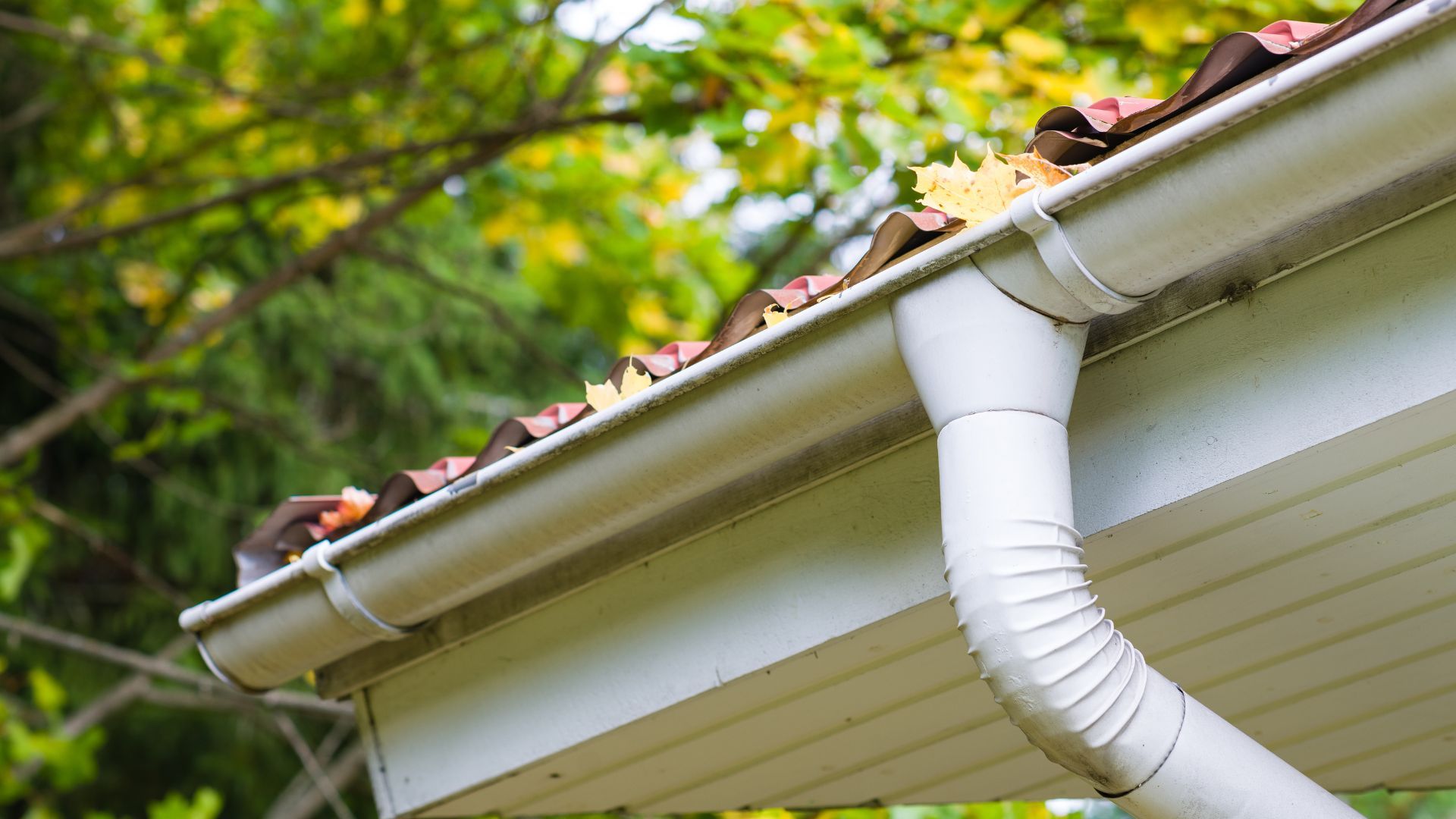 Home gutter cluttered with autumn leaves