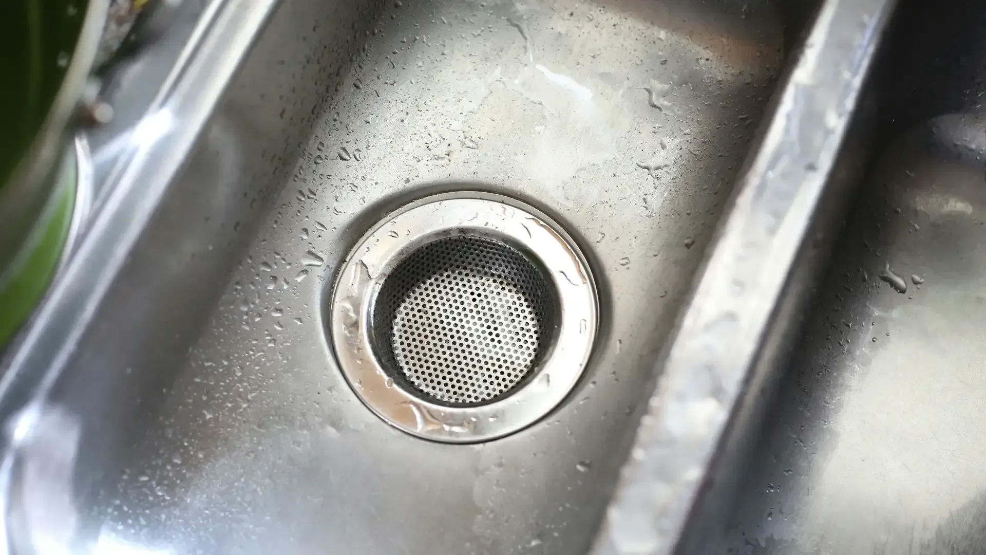Sink drain with a scrap catcher