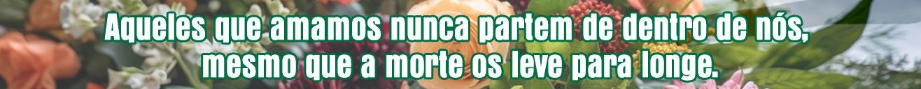 Aqueles que amamos nunca partem de dentro de nós, mesmo que a morte os leve pra longe.