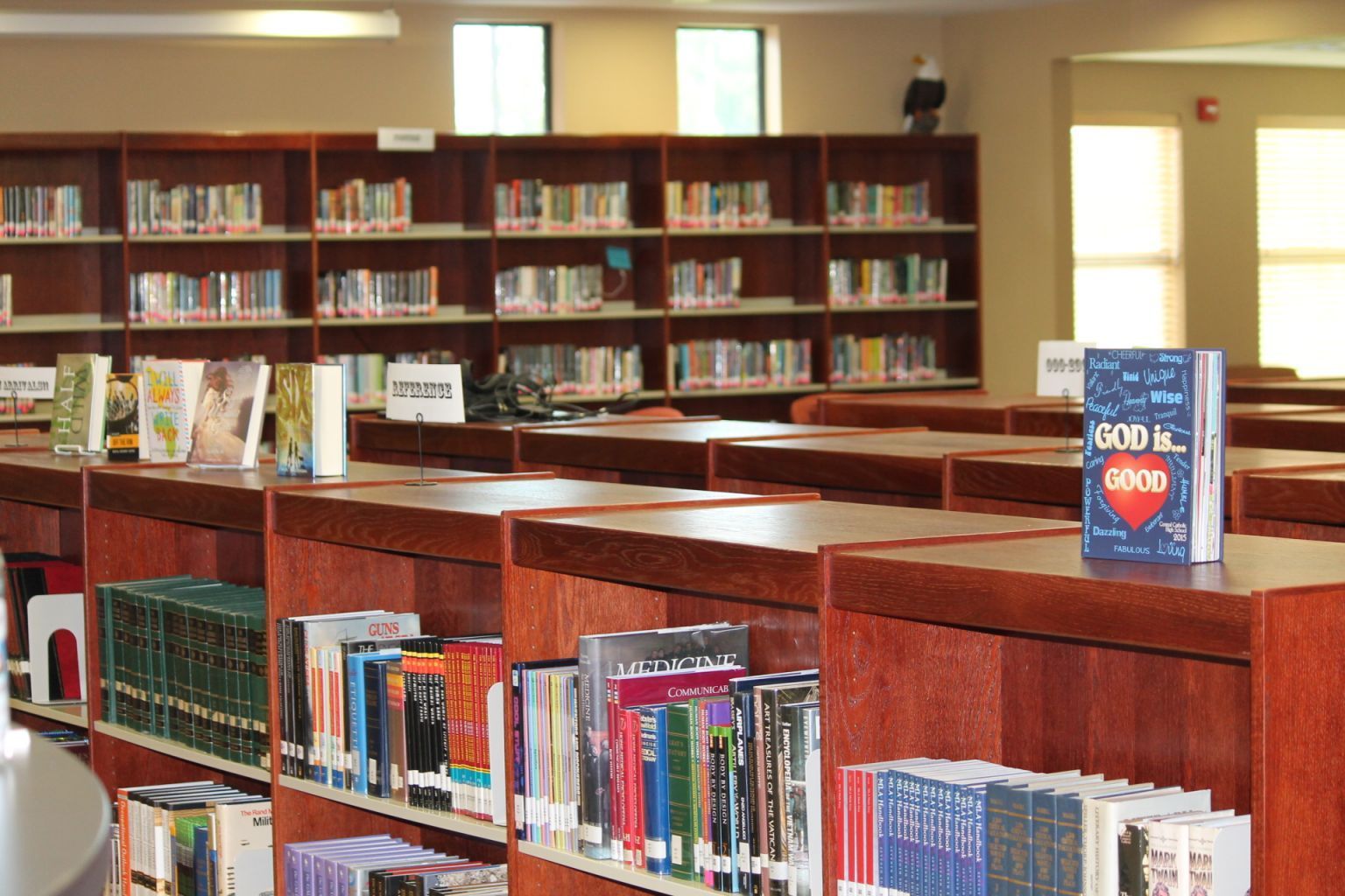 A book titled 800 k good sits on a library shelf