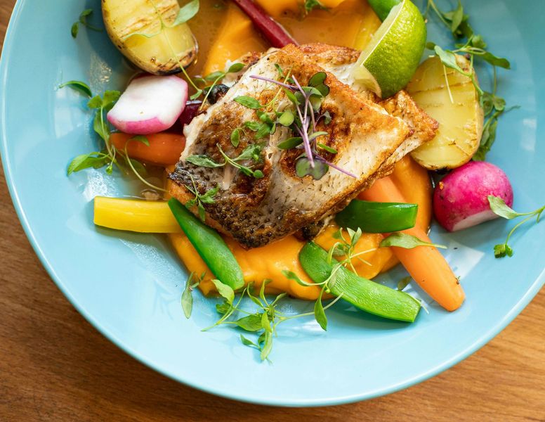 Pan-seared fish atop orange puree, surrounded by vegetables on a blue plate.