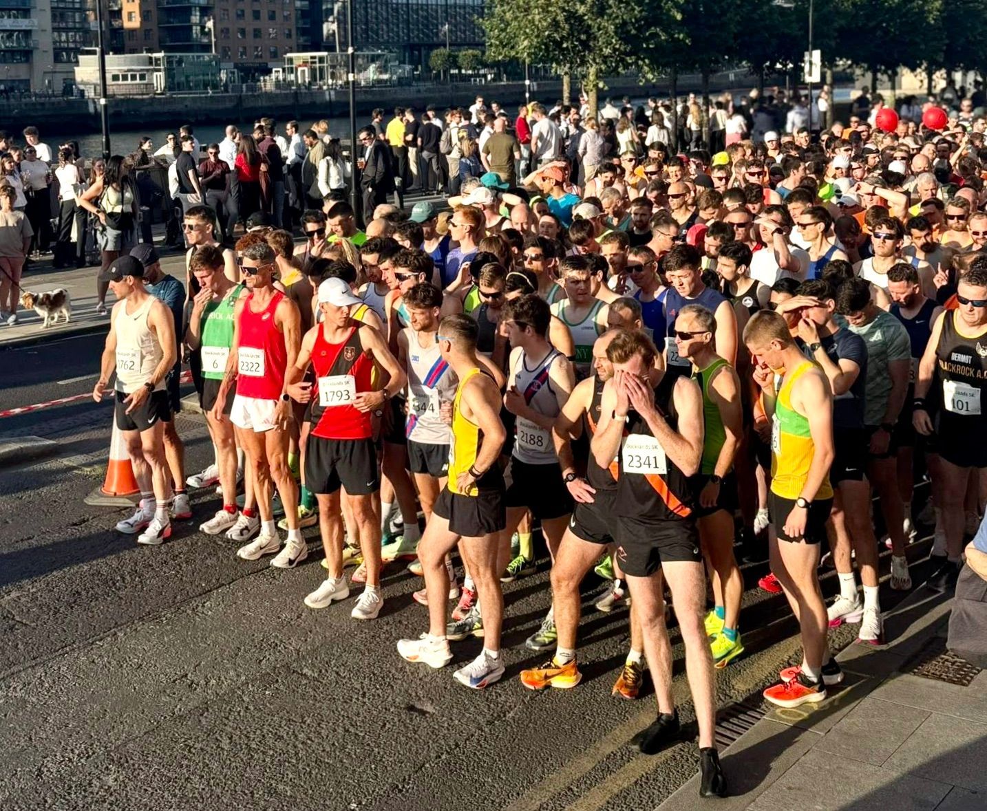 A large group of people are lined up for a marathon