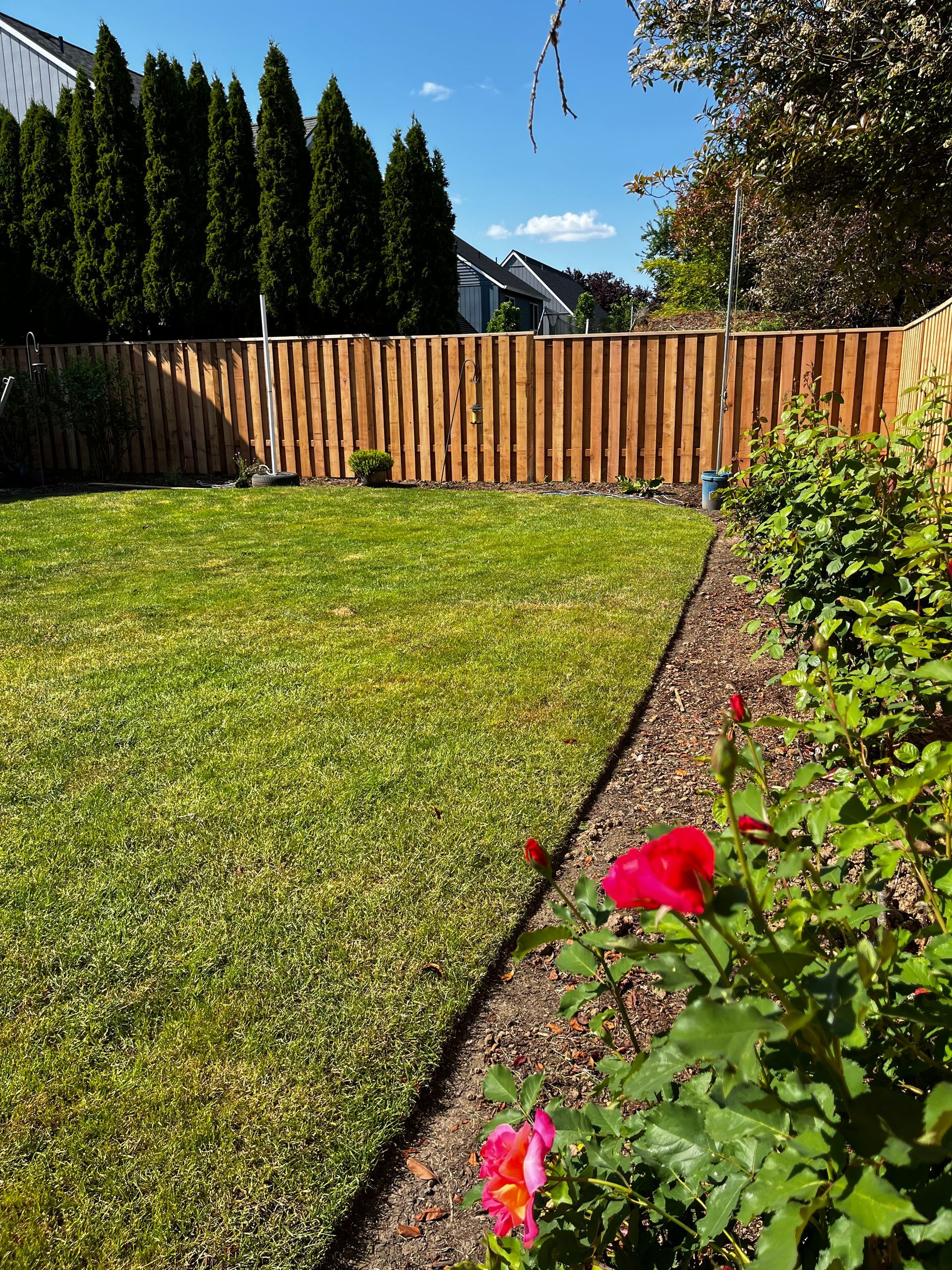 A backyard with a wooden fence and a lush green lawn