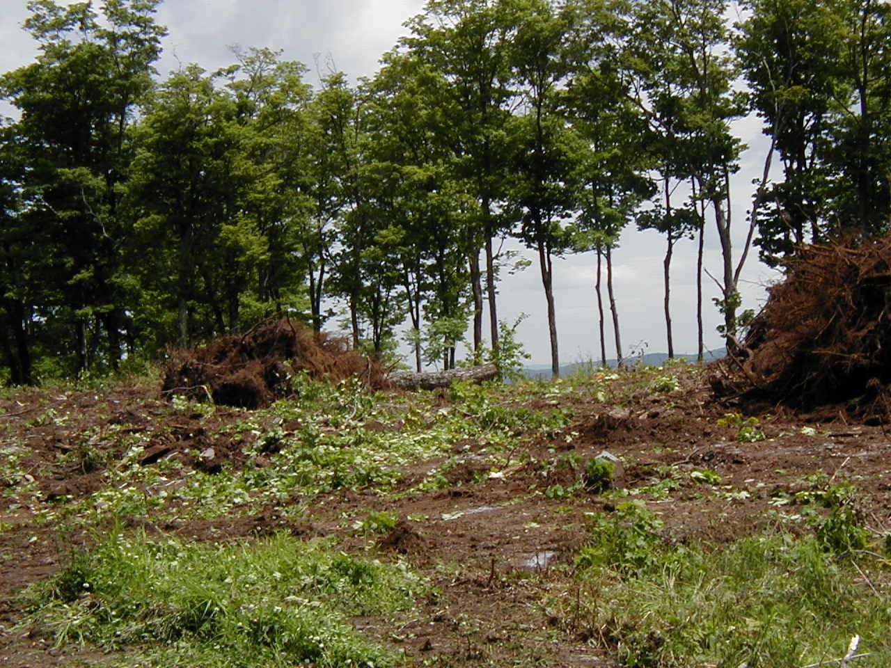 blasting excavation 10