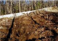 mound system excavation 10