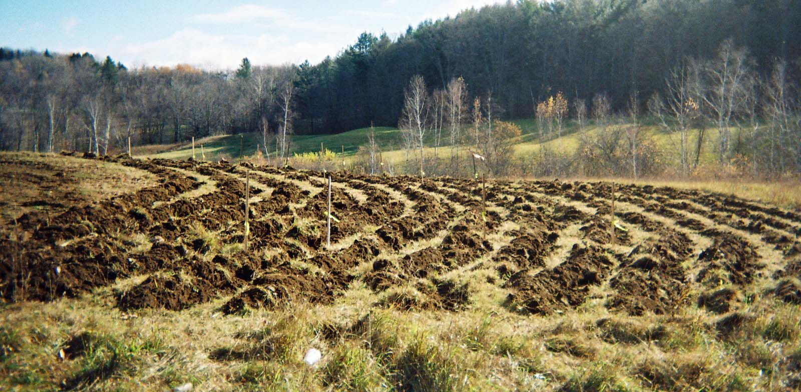 mound system excavation 3