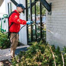 A man is spraying a brick building with a sprayer.