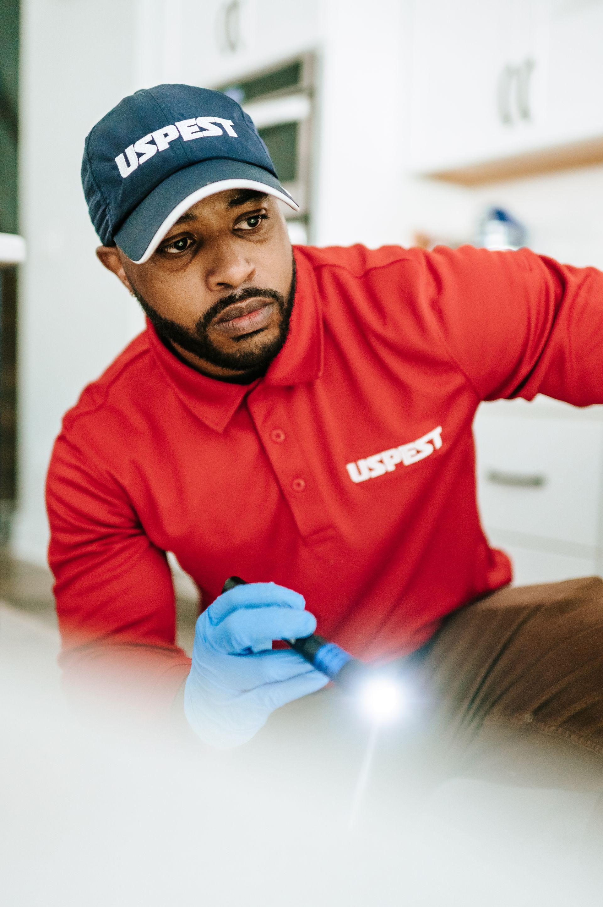 Pest Control Mechanicsville VA Termite Control and Inspection Pest