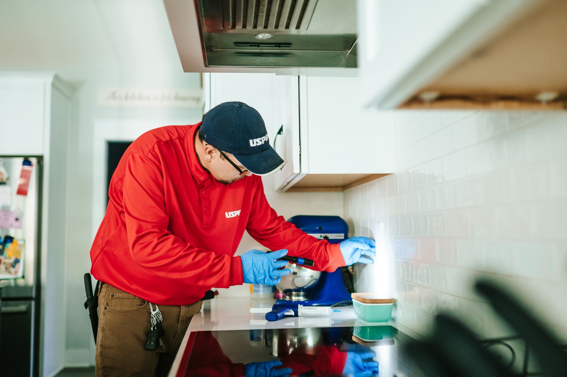 Pest Control Mechanicsville VA Termite Control and Inspection Pest