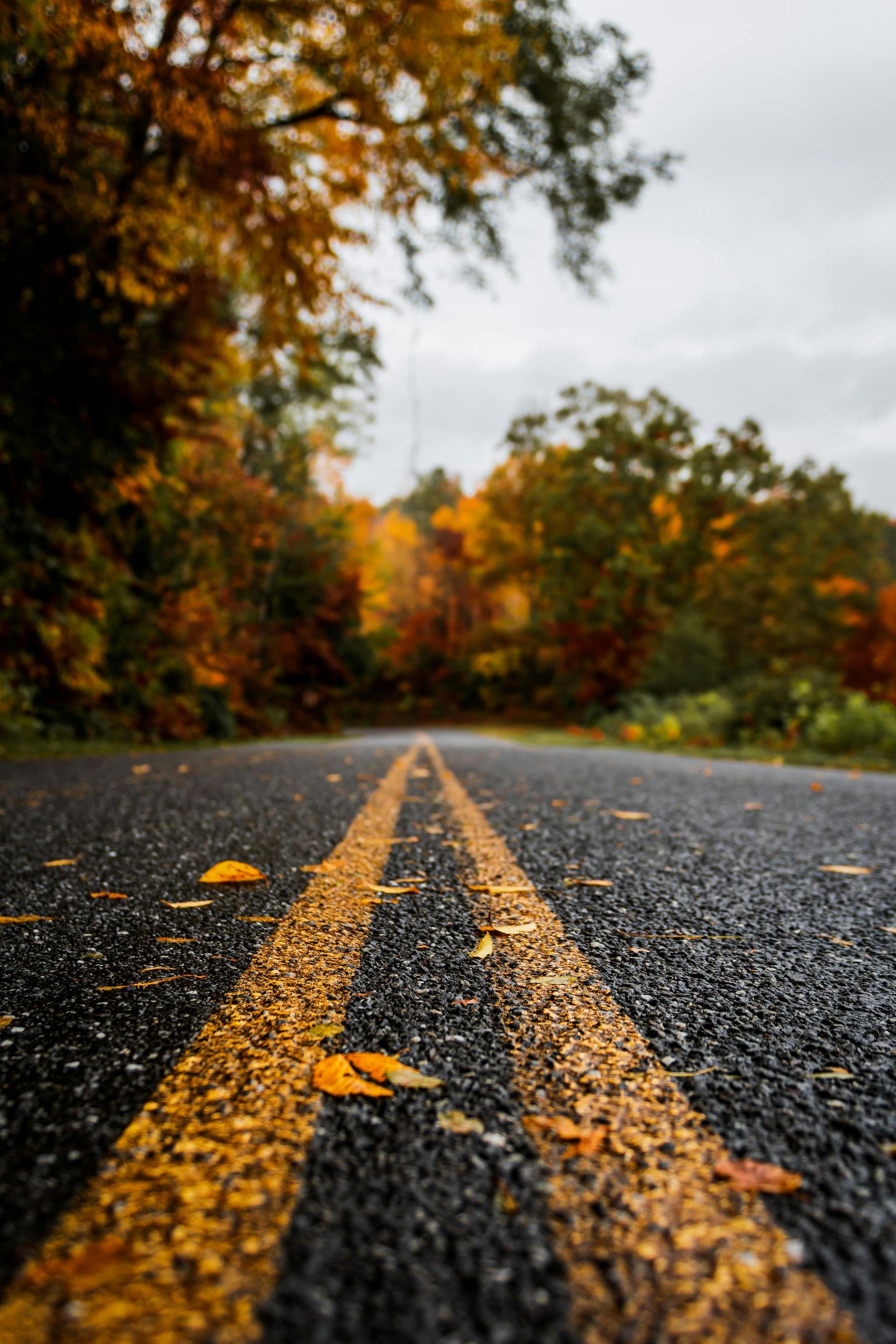 Road with yellow lines through autumn trees, leaves on the asphalt.