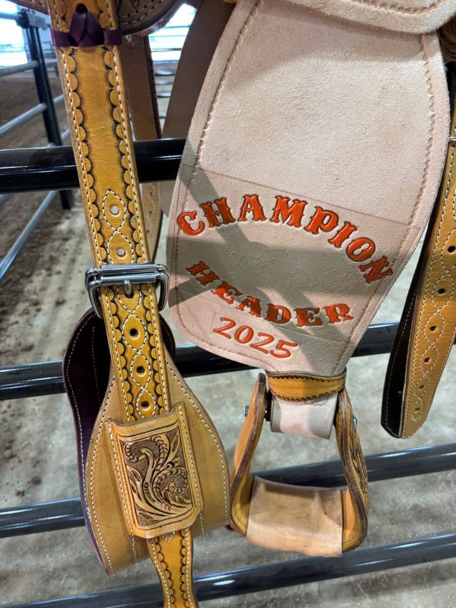 A close up of a saddle with a champion header embroidered on it.