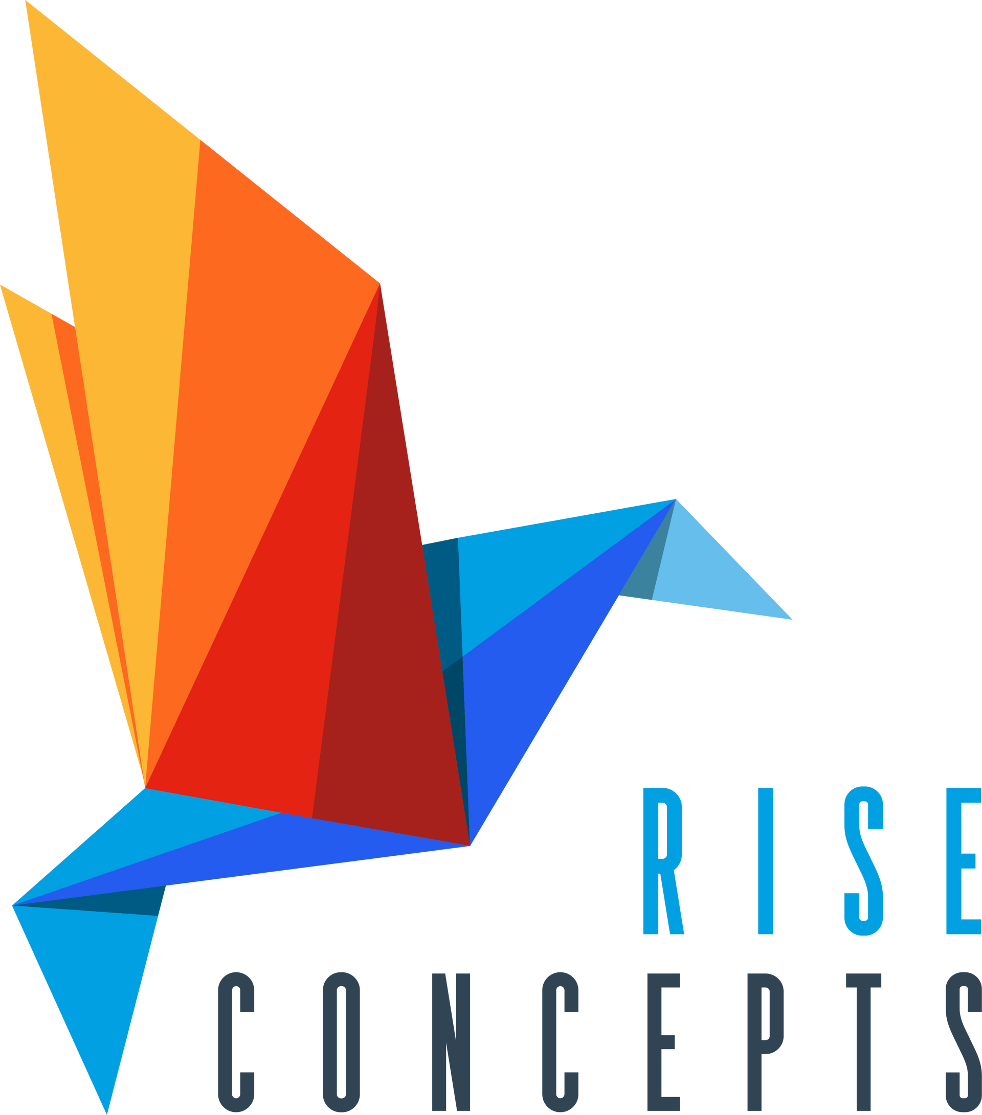 A logo for rise concepts with an origami bird