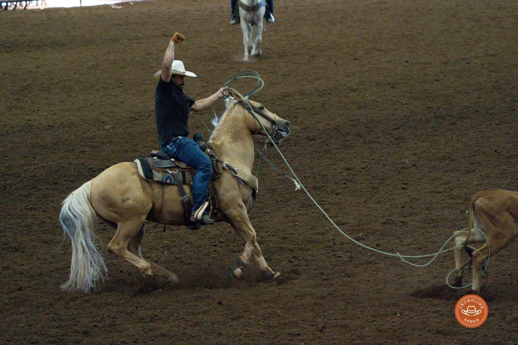 Cowboy on palomino horse ropes calf in rodeo arena.