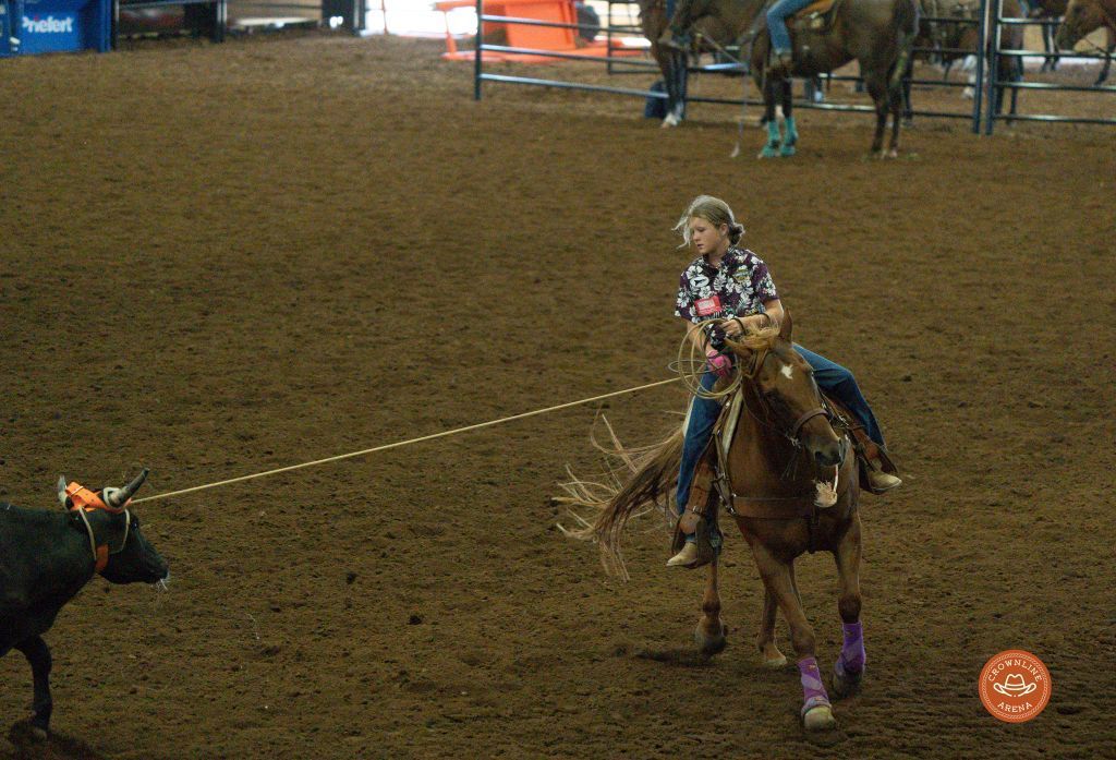 Rodeo: Cow roping, a rider on a brown horse, roping a black steer in an arena with a dirt floor.
