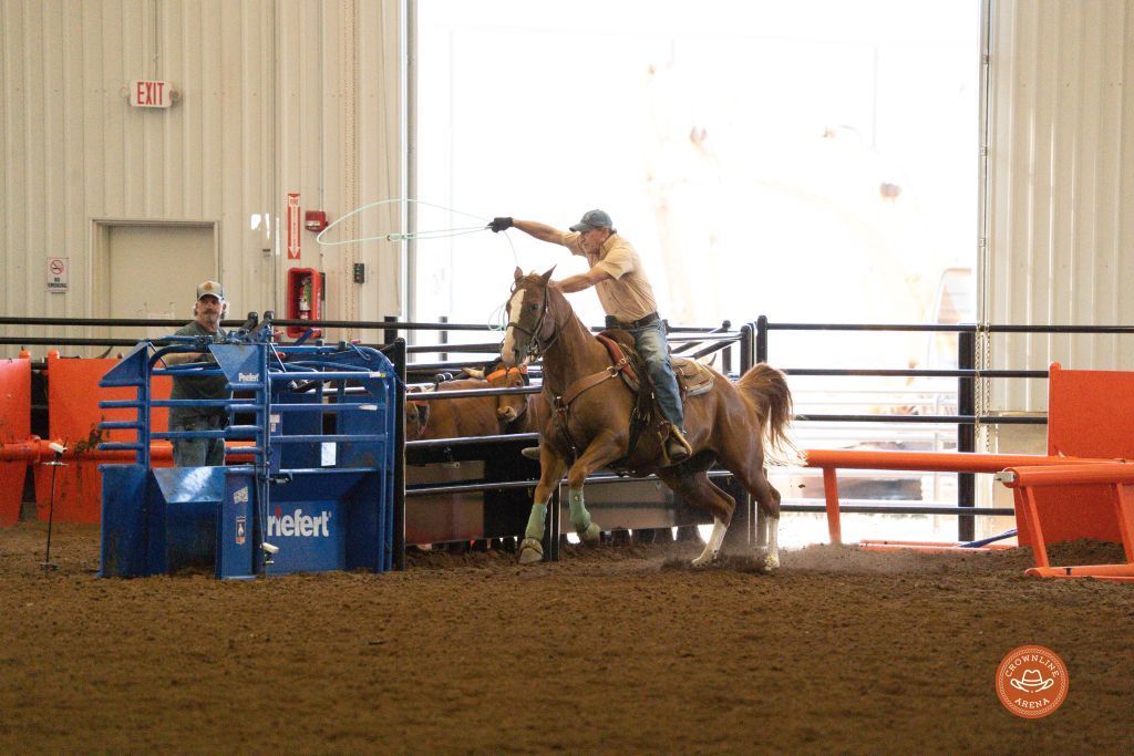 Rider on a brown horse, roping a steer in an arena. The horse jumps forward as the rider throws the rope.