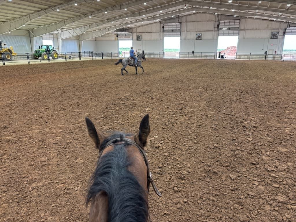 A person is riding a horse in an indoor arena.