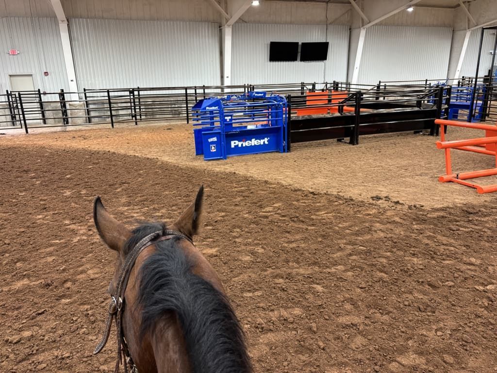 A person is riding a horse in a rodeo arena.
